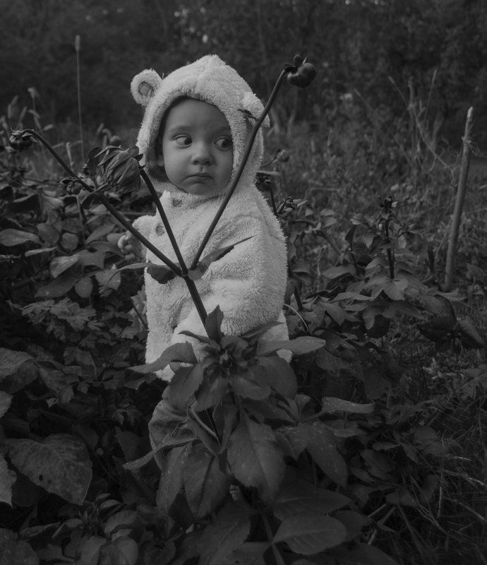 ребенок, портрет, улица Медмедьphoto preview