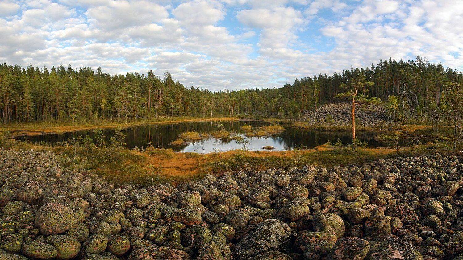 Озы. Автор: Виктор , Виктор