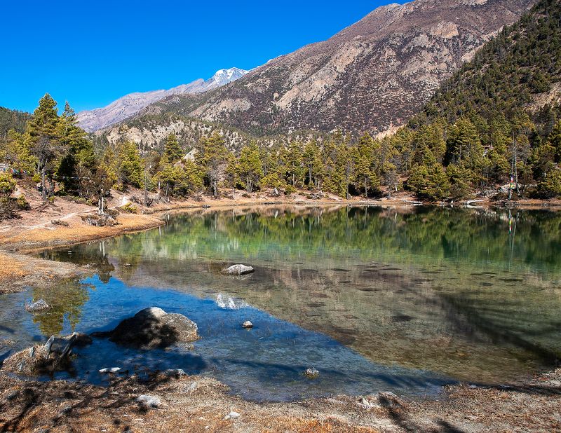 На цветном озере фото превью