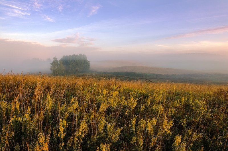 Autumn, Fog, Meadow, Mist, Morning Morning mistphoto preview