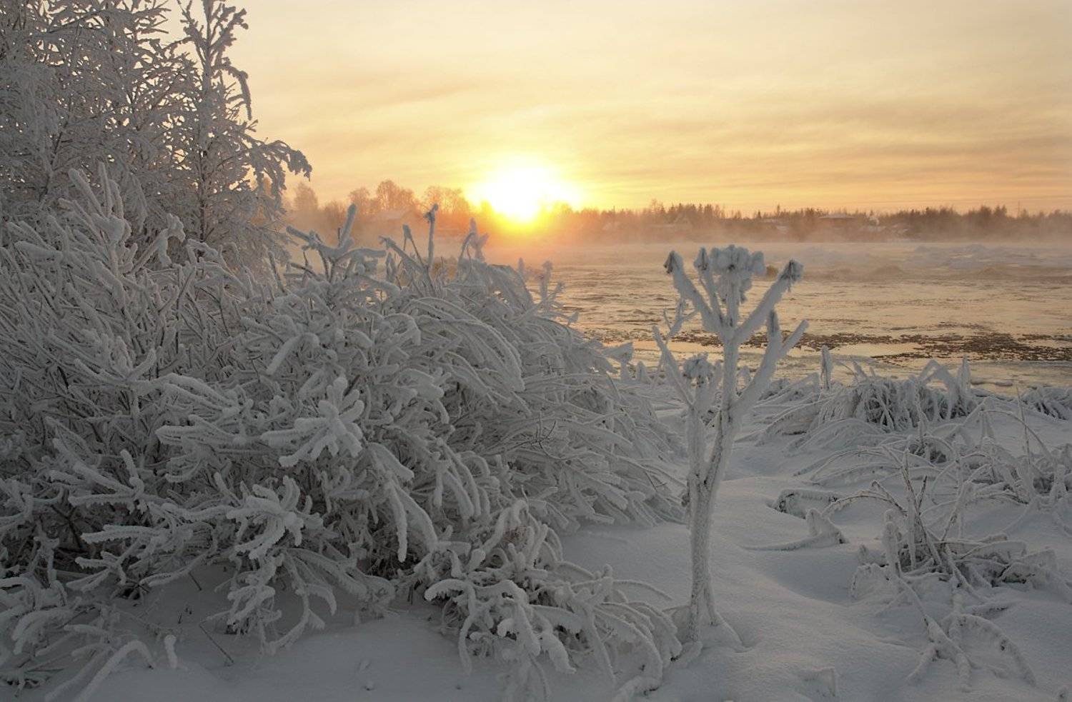 , Андрей Котов