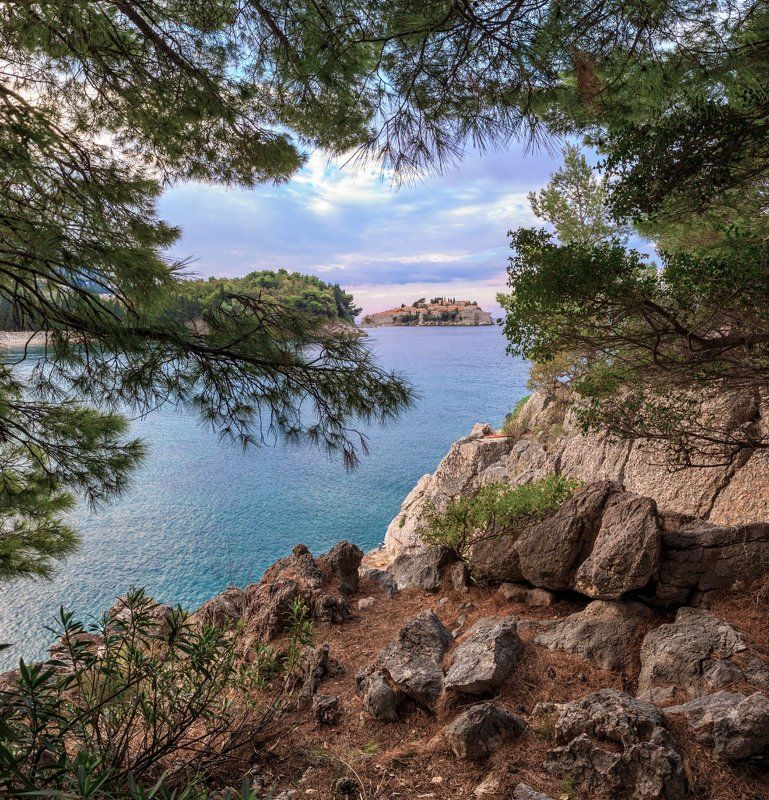 черногория, сосны, скалы, камни, море Вид на остров Свети-Стефан. Черногория.photo preview