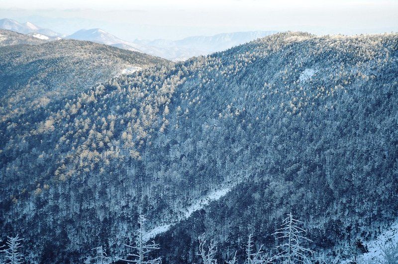 сихотэ-алинь, ливадийский, хребет, горы, тайга, иней, приморье, приморский, дальний восток, дальневосточный Про зимние фактурыphoto preview