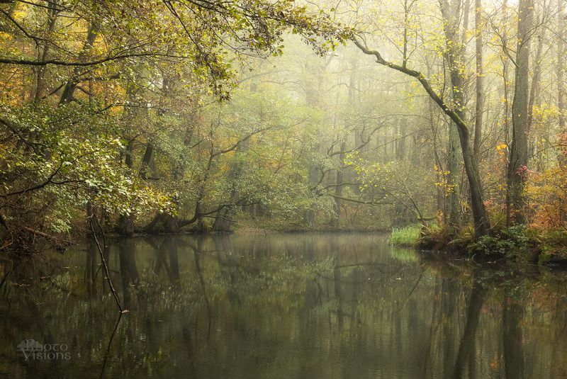 forest,river,woods,woodland,autumn,autumnal,landscape,reflections Ethereal atmospherephoto preview