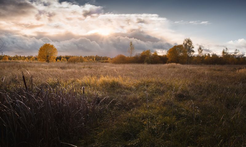 осень Торбеево Осень грустная пора...photo preview