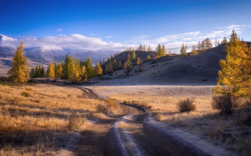 алтай, горы, лес, утро, пейзаж, красивый, излучины, река Утроphoto preview