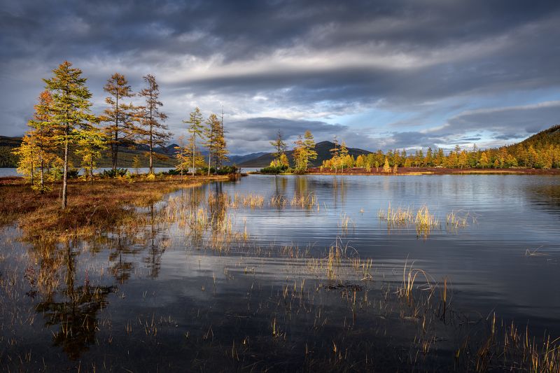 Где-то на болотах....photo preview