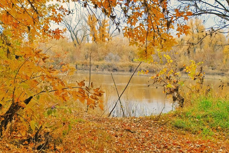 9 векphoto preview