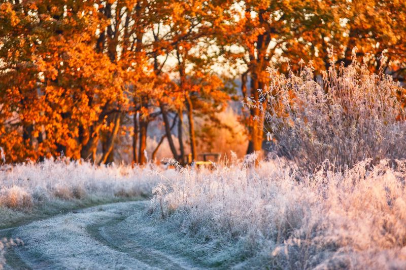 беларусь, иней, луга, неман, октябрь, осень, поля, рассвет, река, туман, утро Хрустальное утроphoto preview