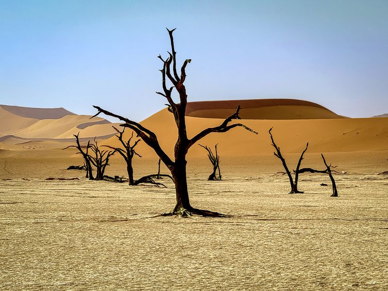 Dead Valley, 4photo preview