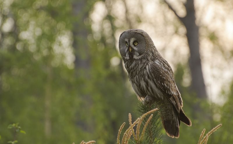 Момент взлёта :)photo preview