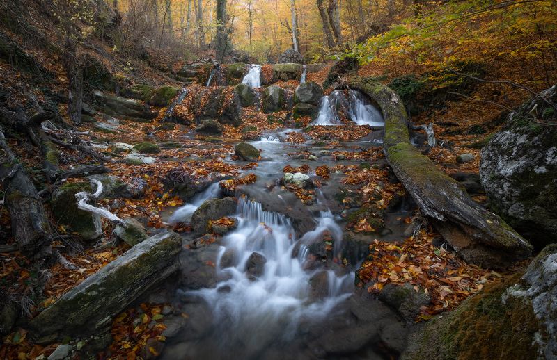 Осень в Крымуphoto preview