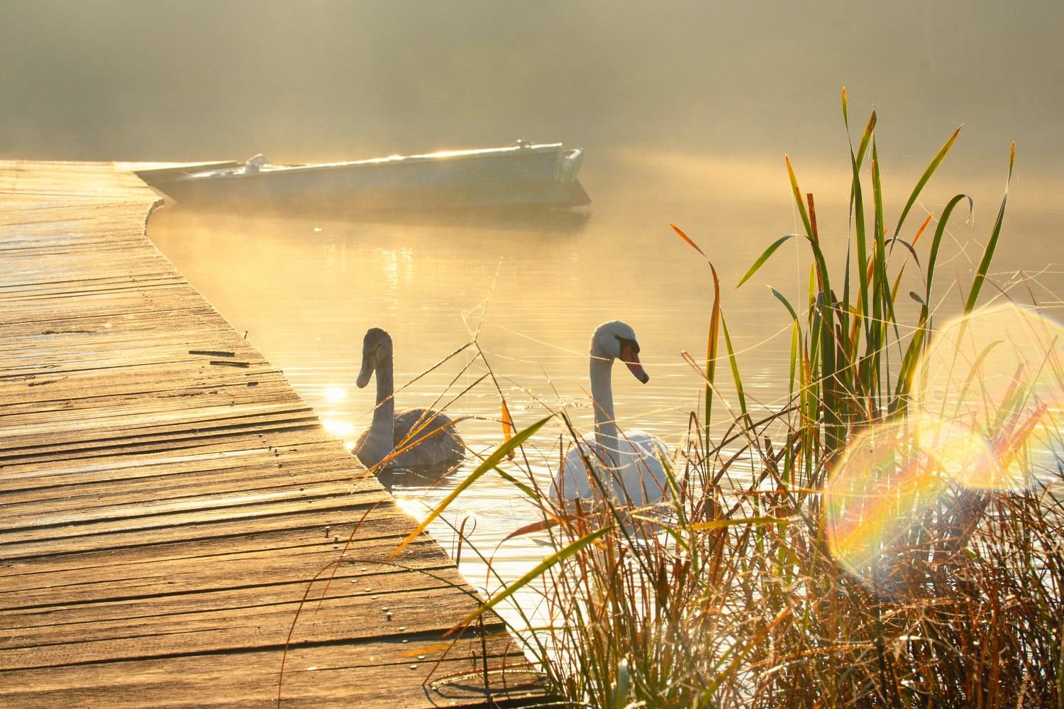 На рассвете. Автор: Dzmitry Hurynovich , Dzmitry Hurynovich