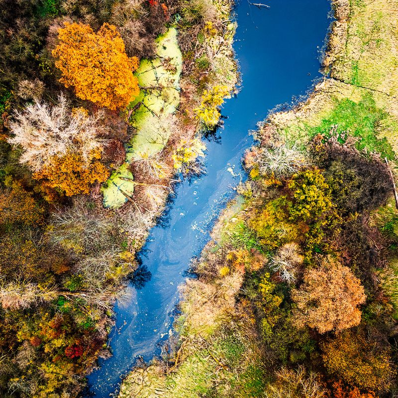 drone, nature, photography Neighborhoodphoto preview