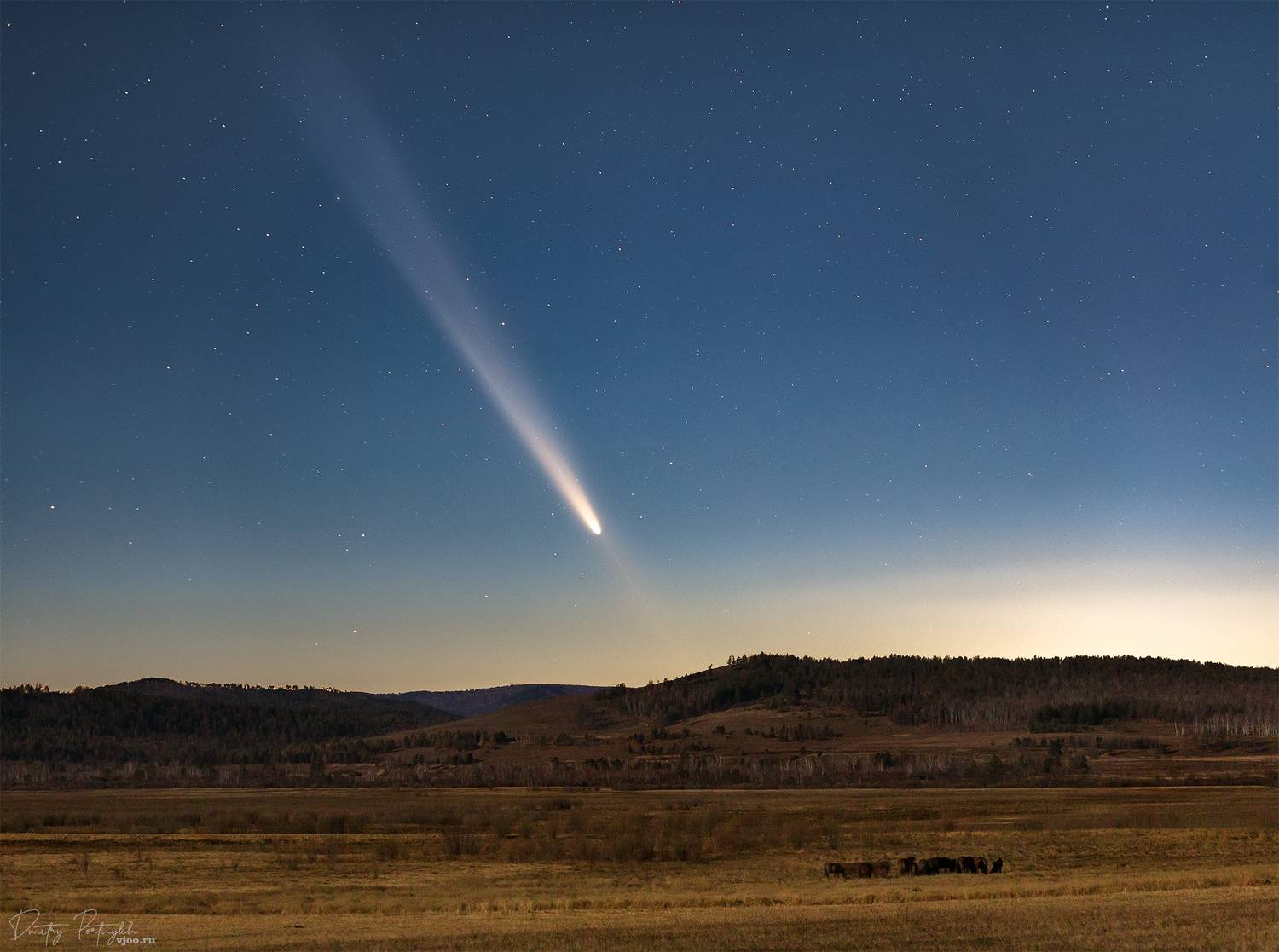 Комета и лошадки. Автор: Портных Дмитрий комета, Портных Дмитрий