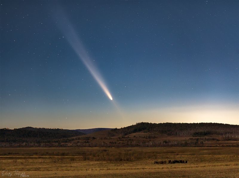 комета Комета и лошадки фото превью