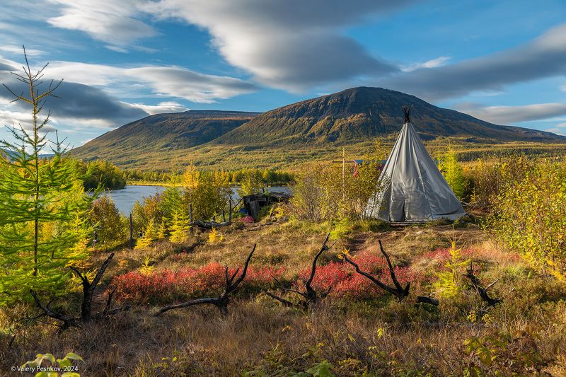 плато путорана, бабье лето, скалы, лиственницы, осень, курейка, лиственницы, таймыр, заполярье, владимир коваль Бабье лето на плато Путоранаphoto preview