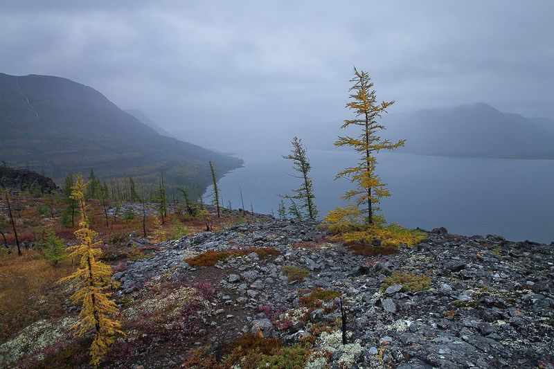 осень, плато путорана, озеро лама. Суровый Таймыр. Путораны.photo preview
