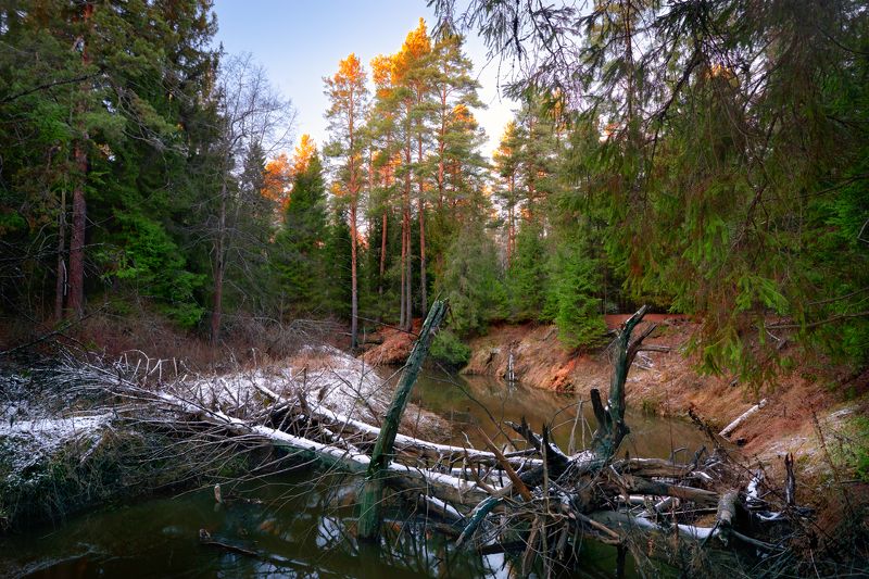 В Вольгиных крепях ... фото превью