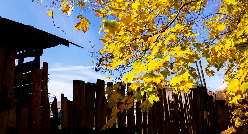 За шатким забором - осень...photo preview