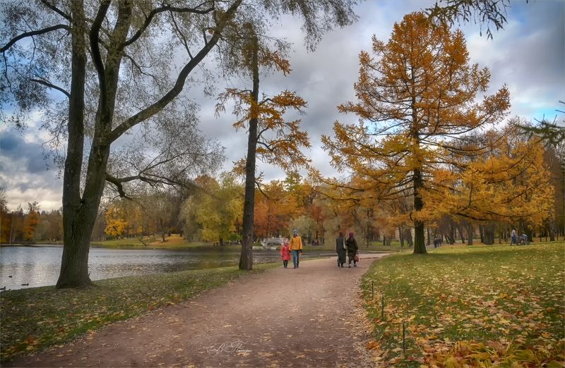 Осень в парке фото превью
