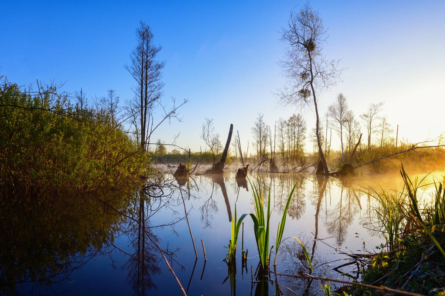 На рассвете. Автор: Dzmitry Hurynovich , Dzmitry Hurynovich