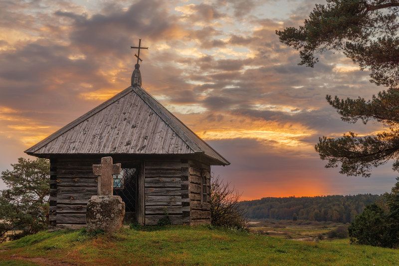 Савкина горкаphoto preview