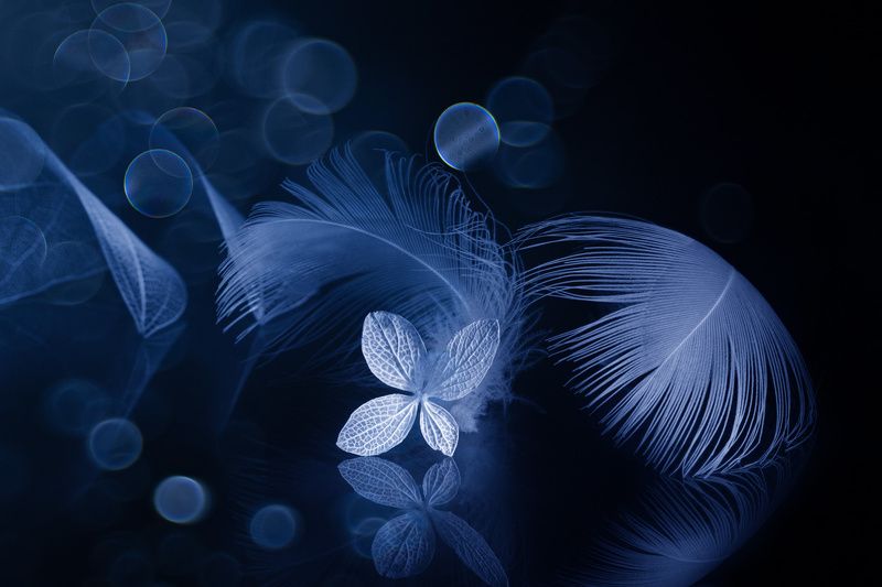 Uncomplaining silence фото превью