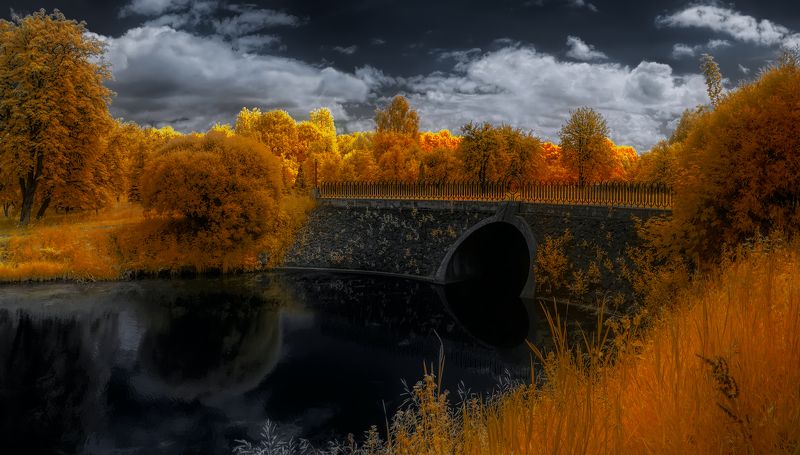 infrared,ик-фото,инфракрасное фото, инфракрасная фотография, пейзаж, лето Черное сердце фото превью