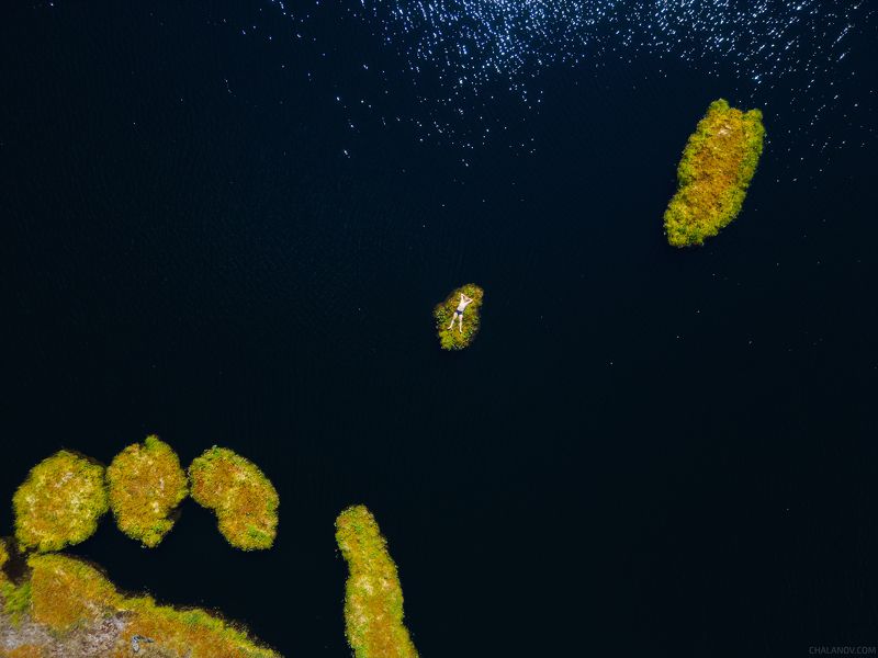 пейзаж, болото, остров, озеро, север, коми Персональный райский остров на озере Малый Кадамphoto preview