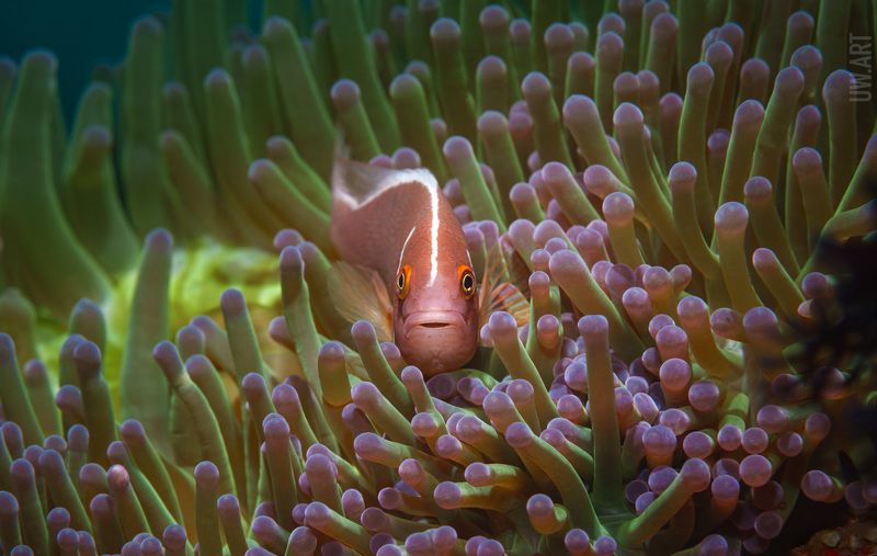 Привет. Ты что здесь делаешь ?photo preview