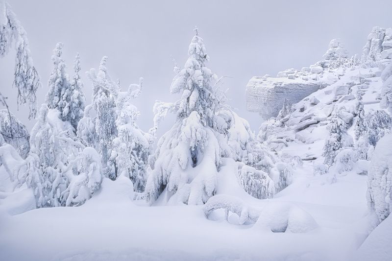 Зимний лес Помяненного Камняphoto preview