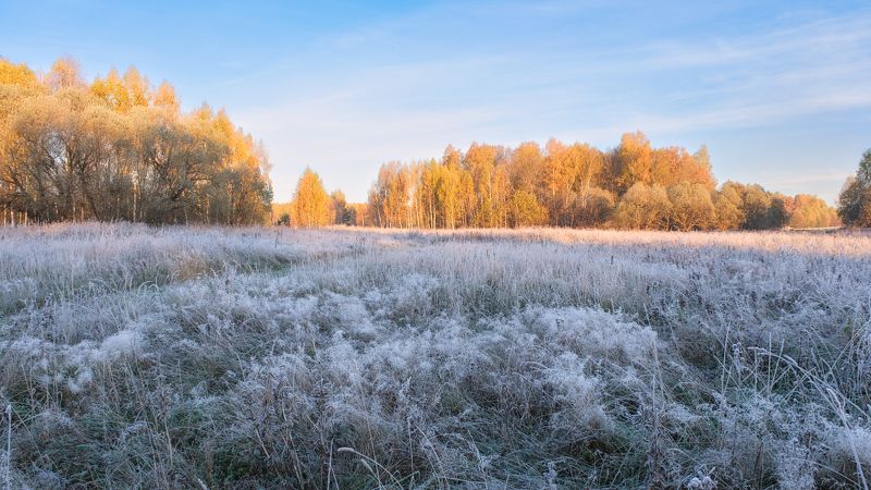 осень,утро,иней,деревья,краски осеннее утроphoto preview