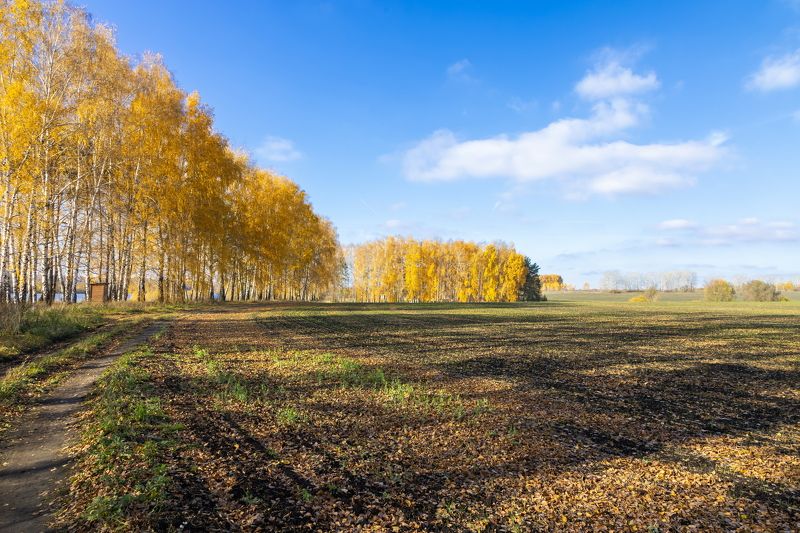 Уходящаяphoto preview