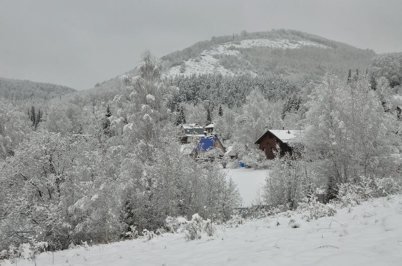россия, кузбасс, подкатунь, ноябрь, пейзажи Подкатунь. Первый снегphoto preview