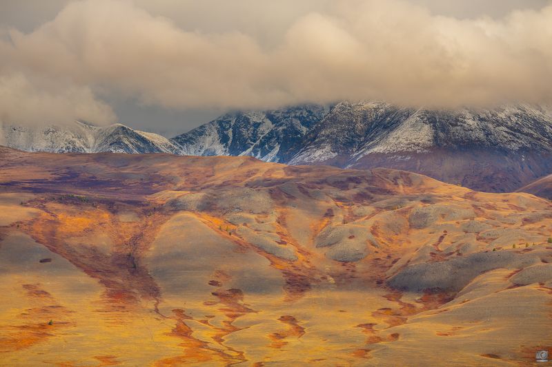 алтай Марсphoto preview