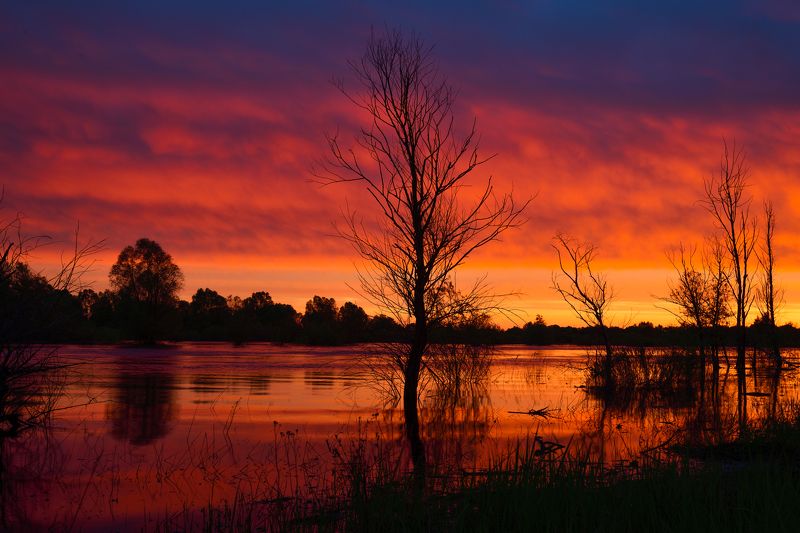 Закатphoto preview