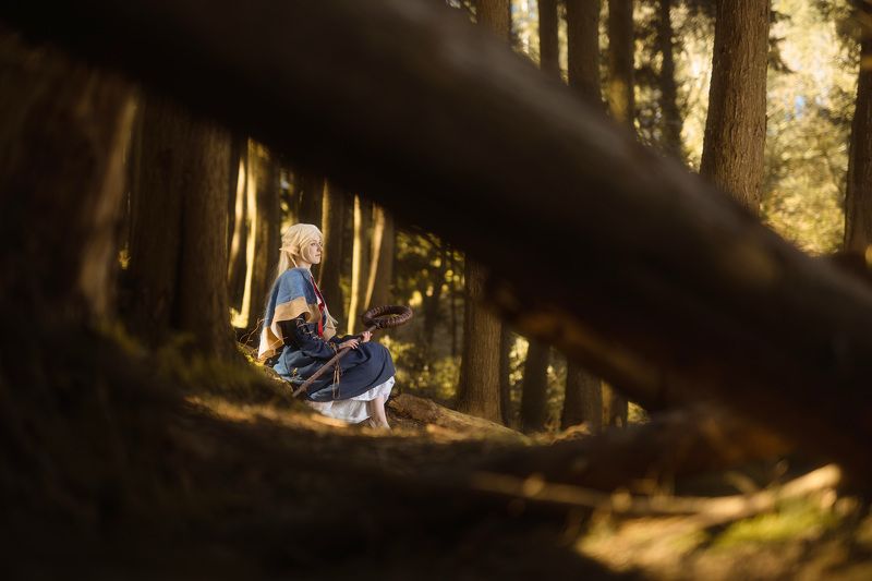 Mercillephoto preview