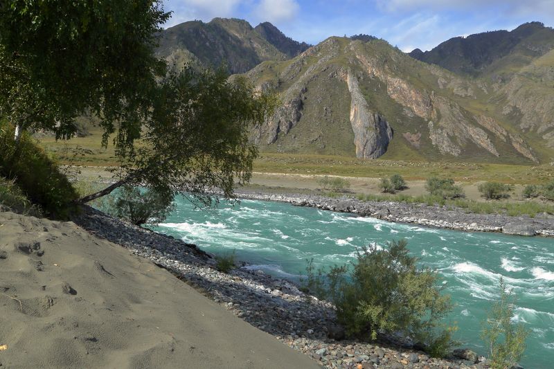 р. Катунь фото превью