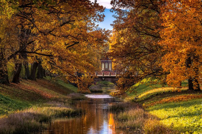 городской пейзаж, архитектура, парки, мосты, царское село Вид на Большой Китайский и Крестовый мосты. Царское Село.photo preview