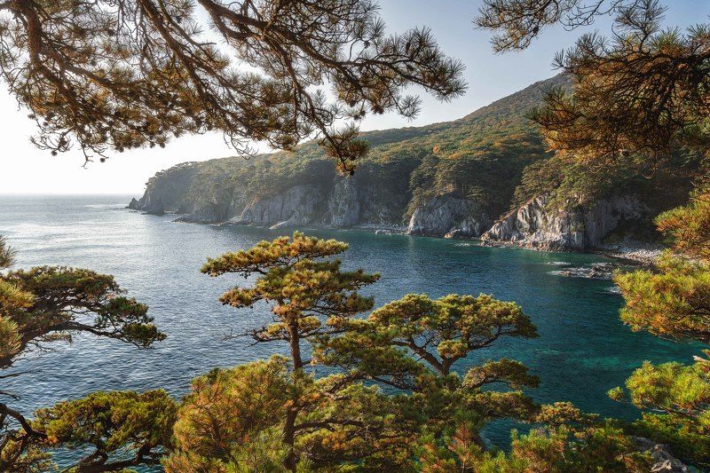 Очарование сосновых берегов… The charms of pine shores…photo preview