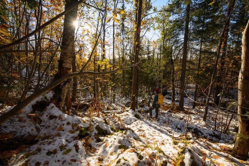 Поздняя осень.photo preview