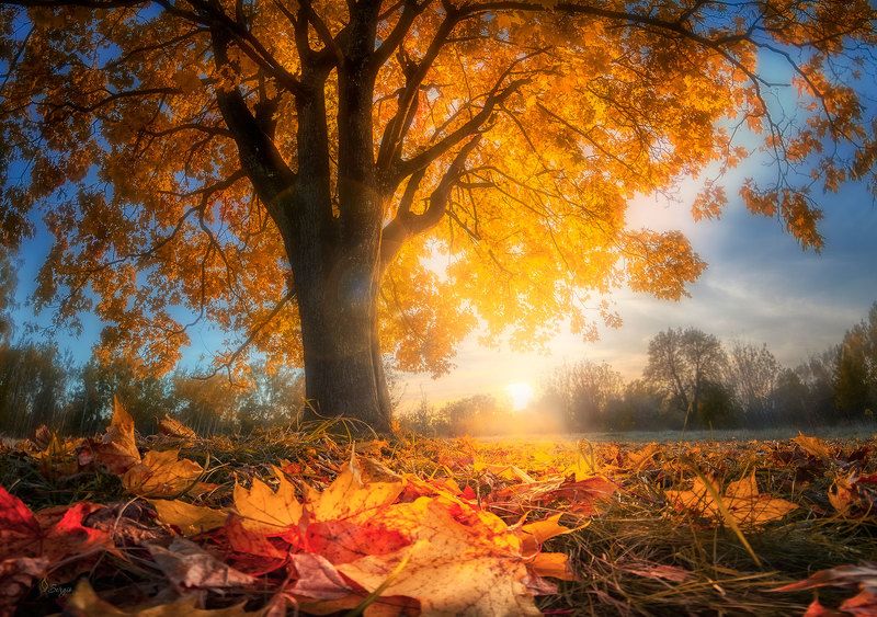 Беларусь В травеphoto preview