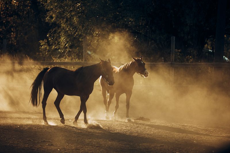 в Закатphoto preview