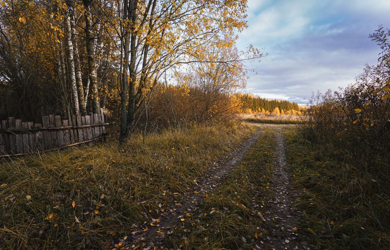 осень Торбеево Осеннее настроение...photo preview