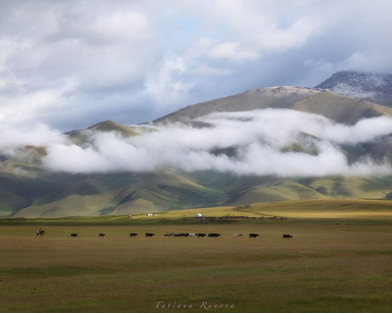 Домой....photo preview