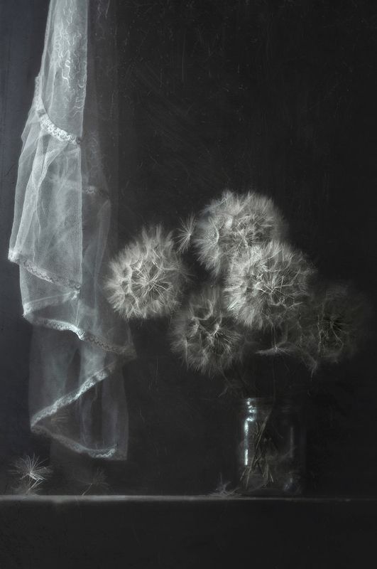 натюрморт, цветочный, настроение Безмолвиеphoto preview