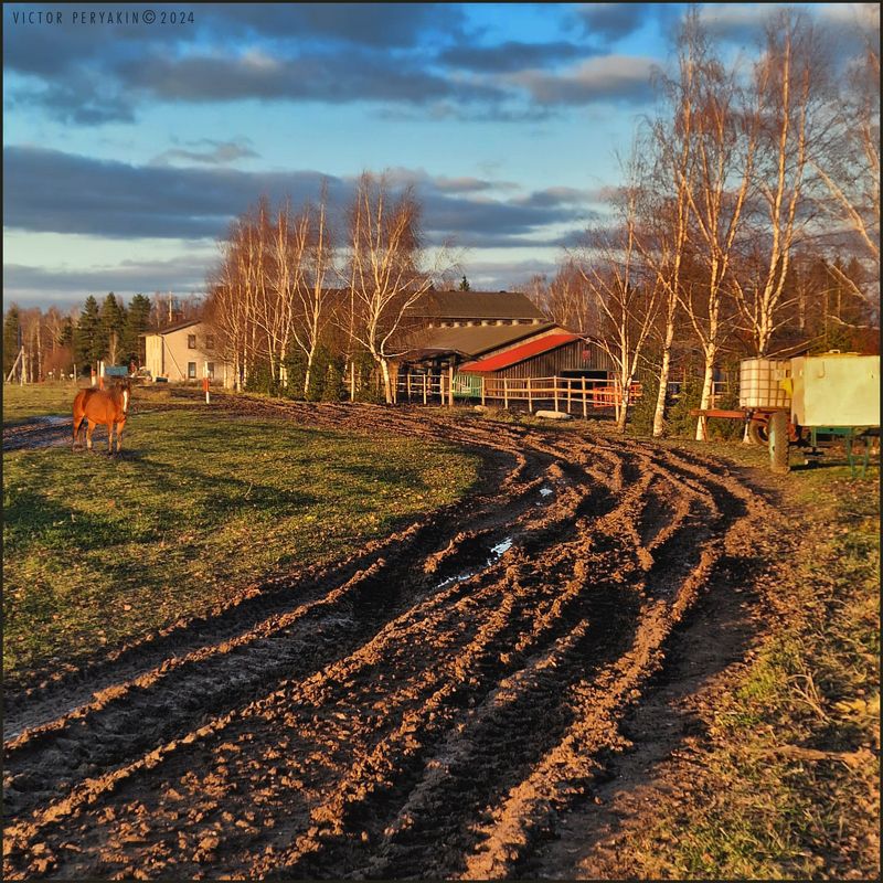 Осенний вечер на конюшне...photo preview