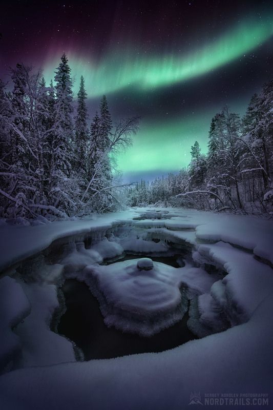 север, мурманск, териберка, хибины, рыбачий, кандалакша, северное сияние Зимние кружеваphoto preview