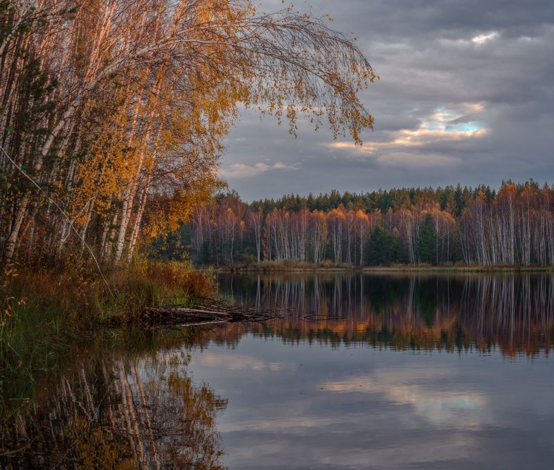 осень октябрь рассвет черная порза серково Перед рассветом фото превью